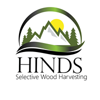 Hinds Selective Wood Harvesting
