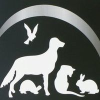 Adobe Animal Hospital