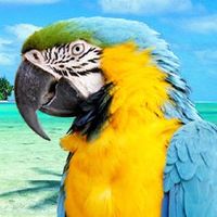 Jaimonvoyage.com
