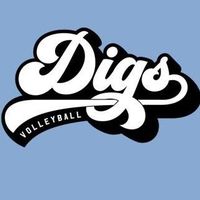 Digs Volleyball Complex