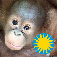 Smithsonian’s National Zoo and Conservation Biology Institute