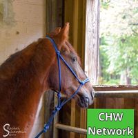 CHW Network