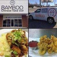 Bamboo Joplin