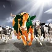 Preston Dairy Equipment Inc