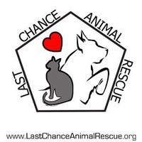 Last Chance Animal Rescue